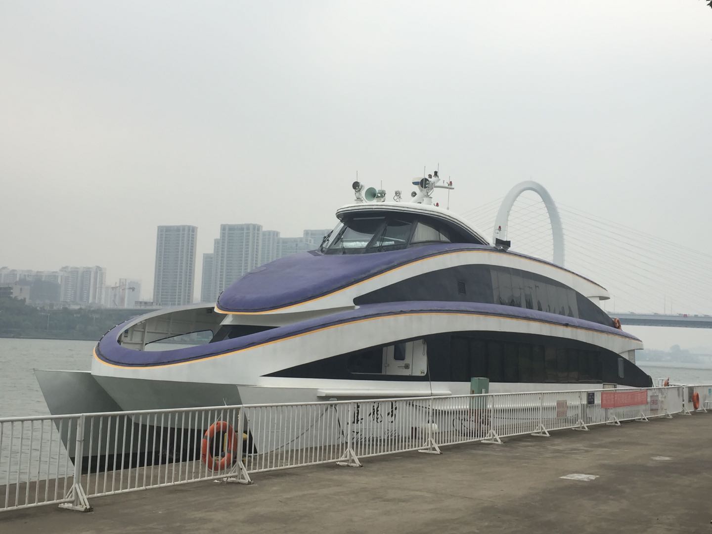 東堤旅游碼頭真龍?zhí)栍未?jpg